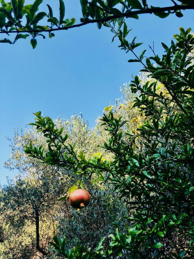 Ricomincio Da 3 Bed & Breakfast Pompei Dış mekan fotoğraf